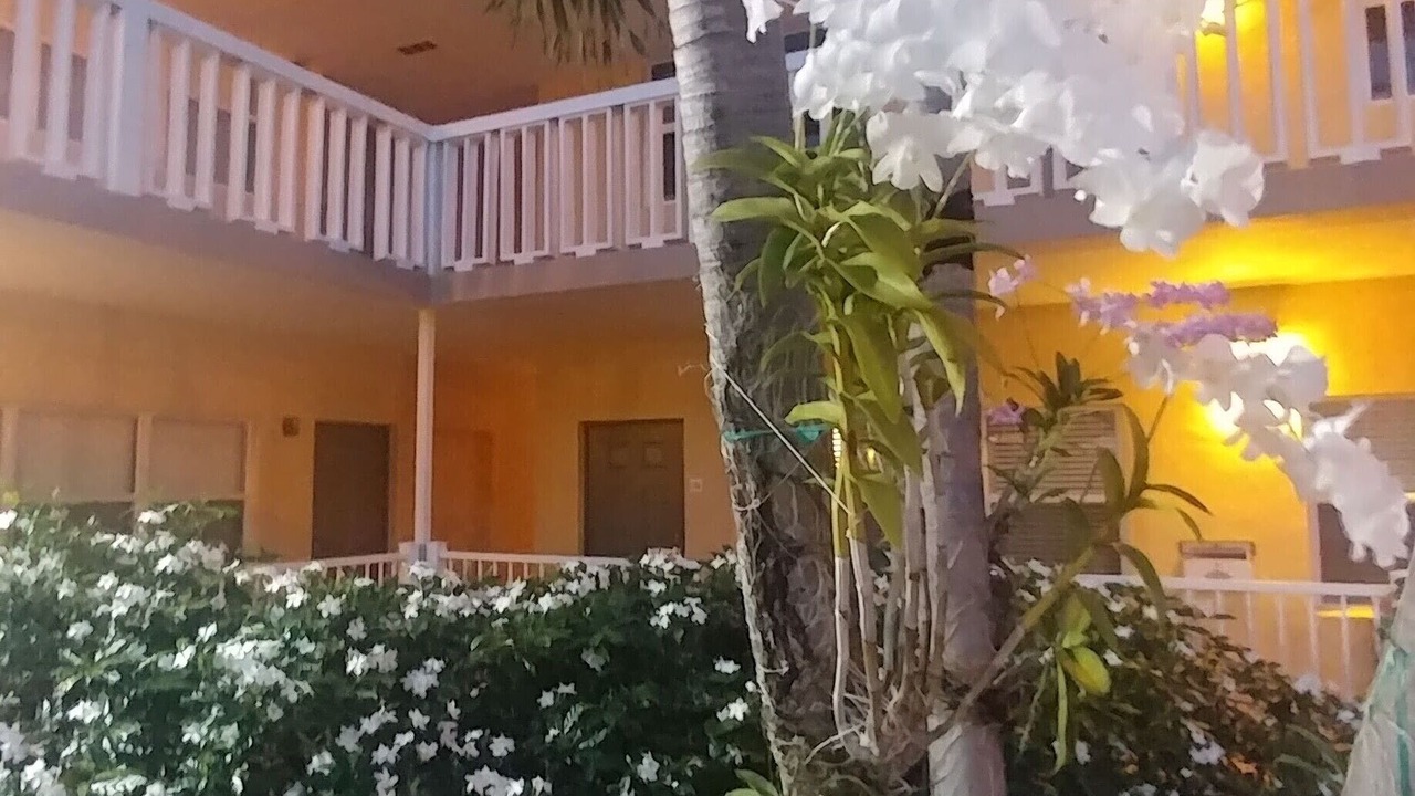 Photo of Outdoor in Harbor Village