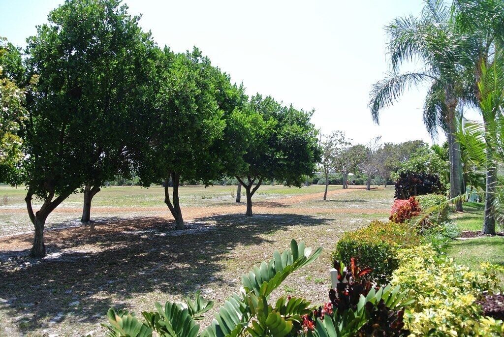 Photo of Outdoor in Bella Vista
