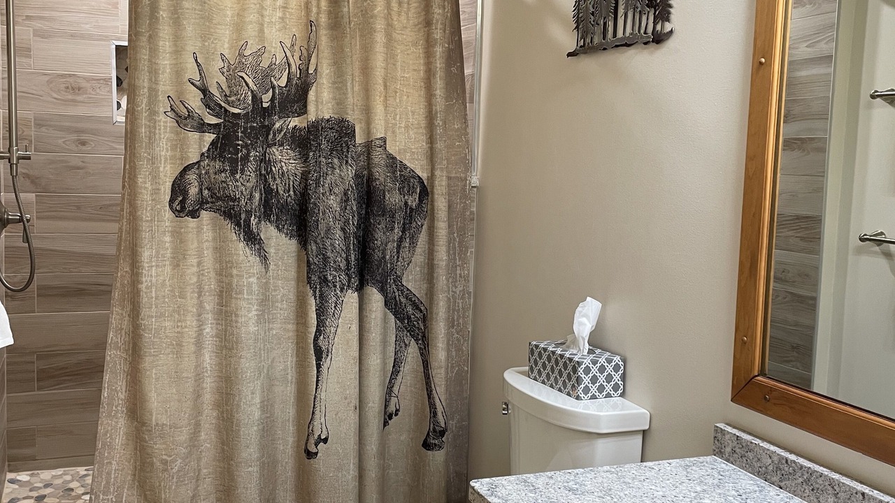 Photo of Bathroom in Carroll