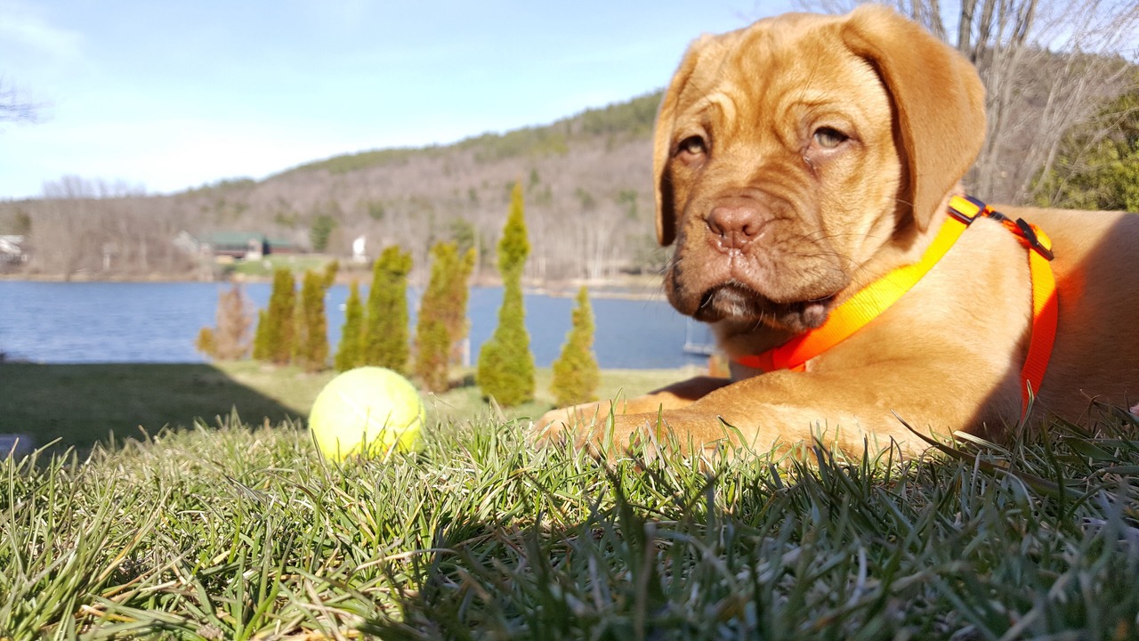 Photo of Outdoor in North Lake George