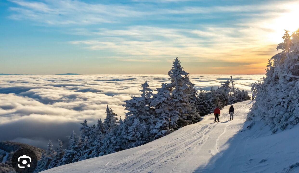 Photo of Others in Warren