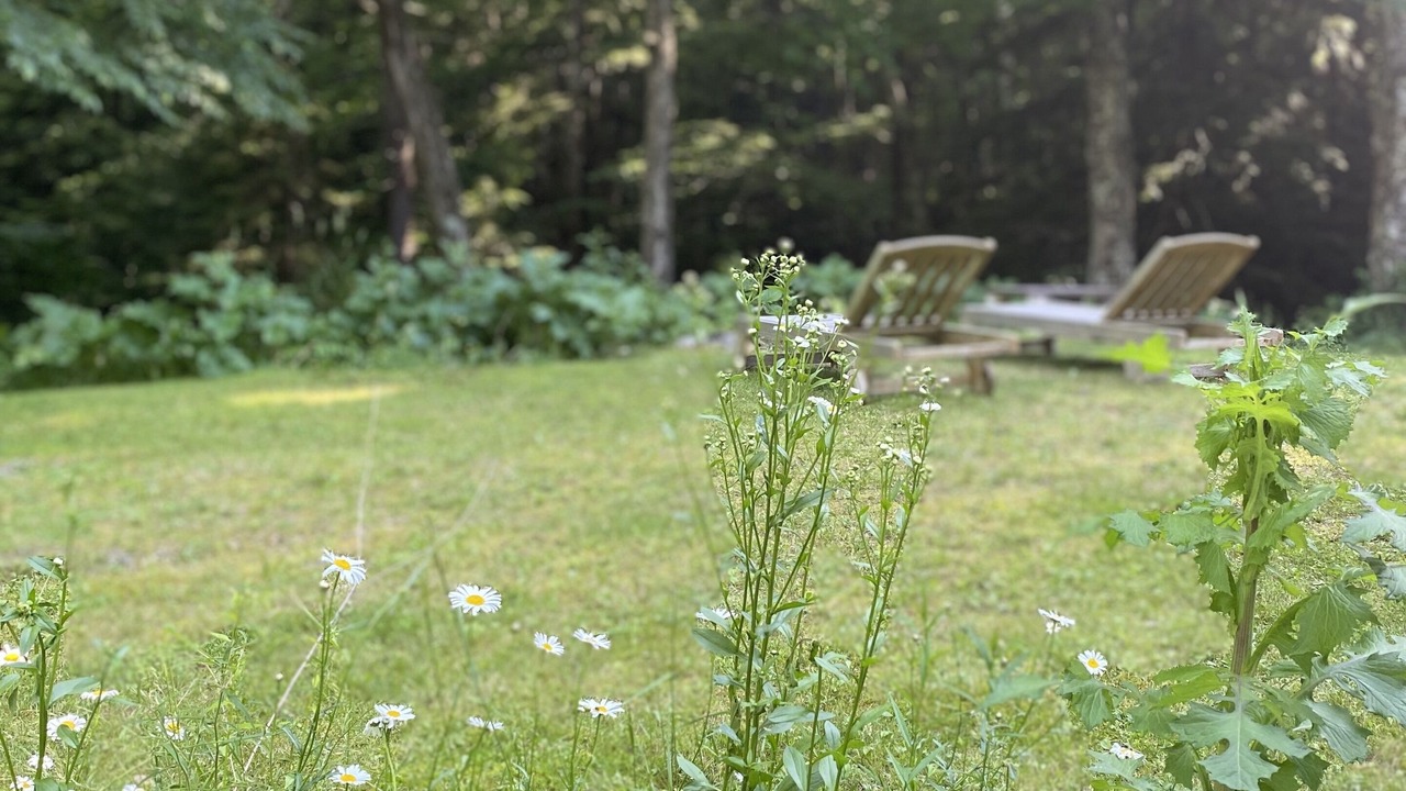 Photo of Outdoor in Warren