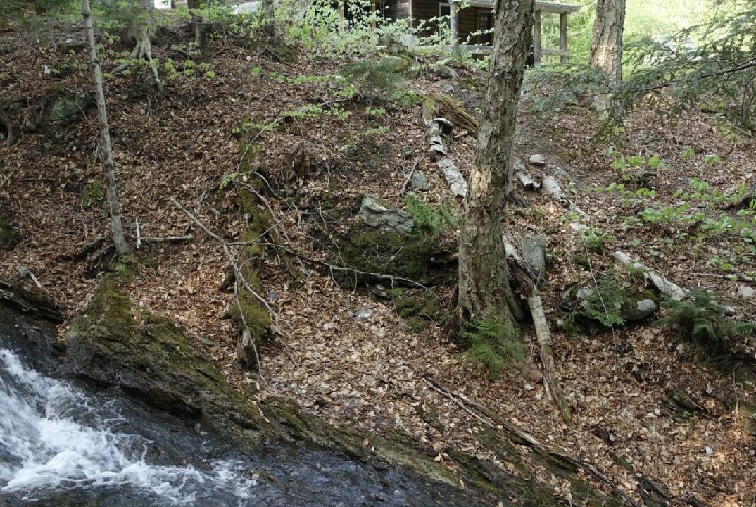 Photo of Outdoor in Warren