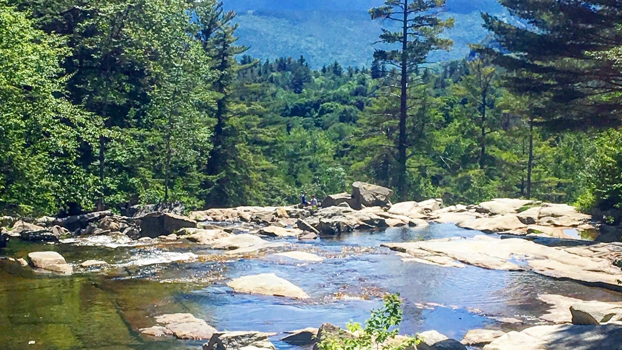 Photo of Others in Bartlett