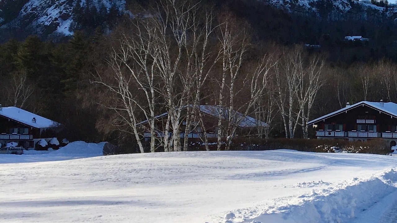 Photo of Others in Bartlett