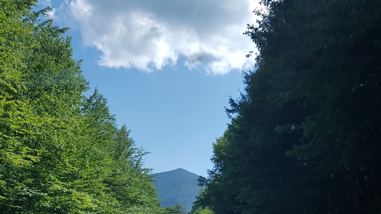 Photo of Outdoor in Bartlett