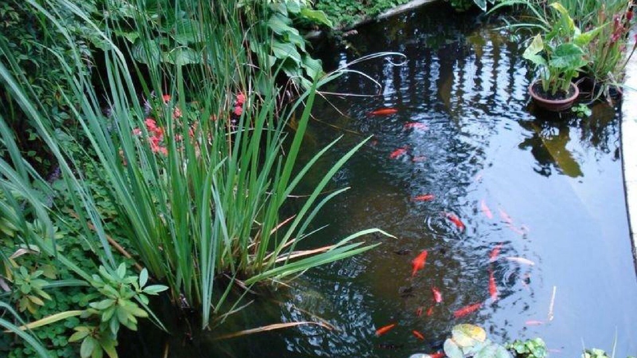 Photo of Outdoor in Granthams Landing