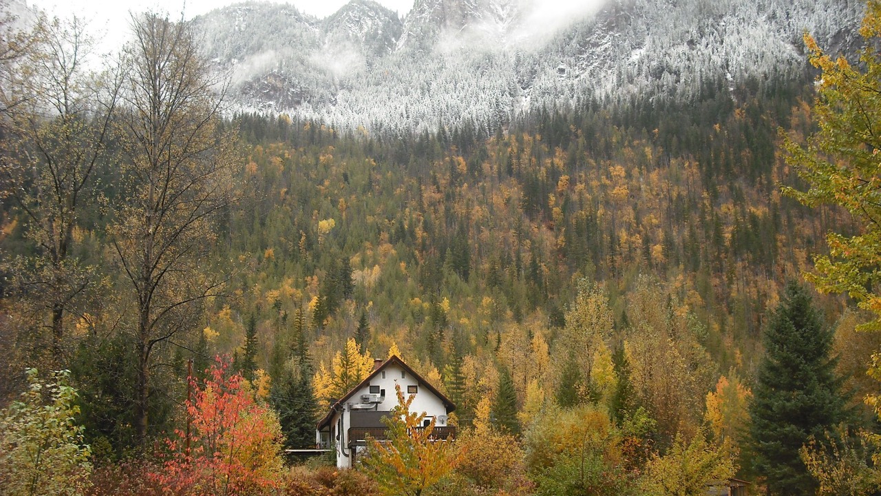 Photo of Others in Revelstoke