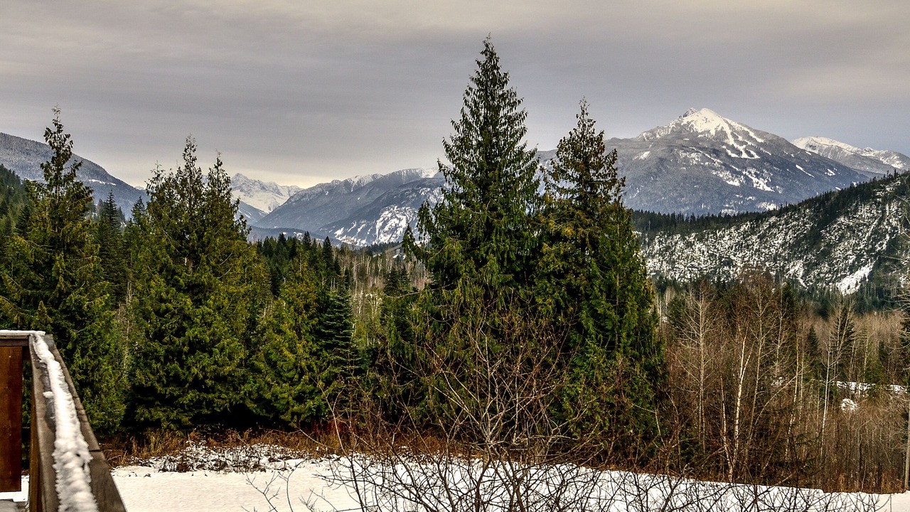 Photo of Others in Revelstoke