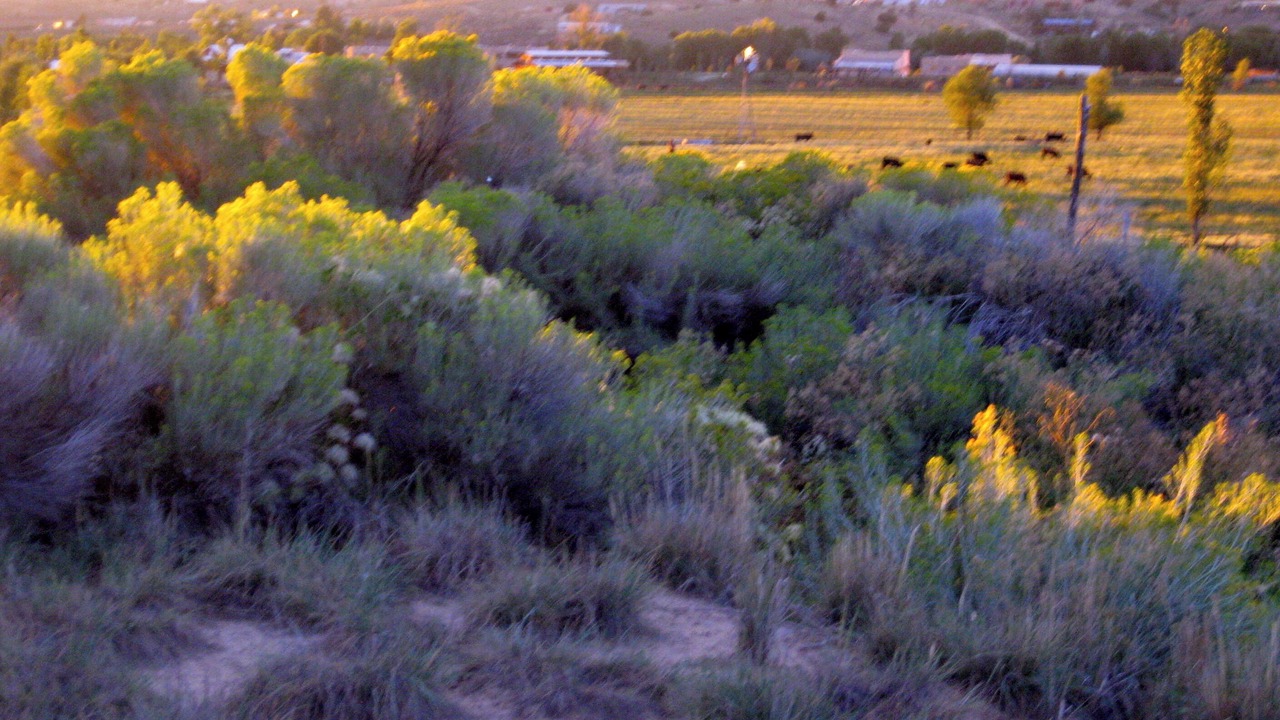 Photo of Others in Taos