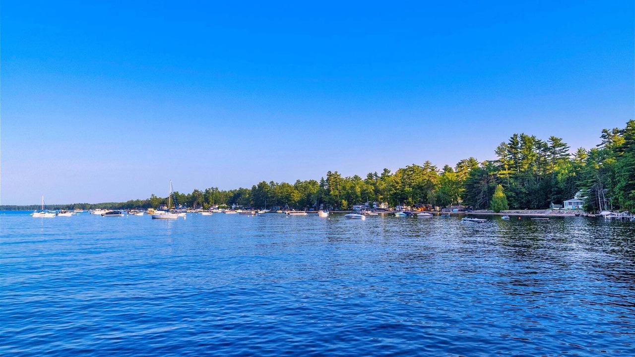 Photo of Others in Sebago