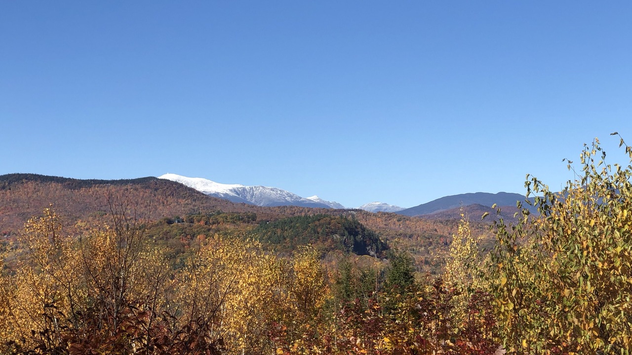 Photo of Outdoor in Bartlett