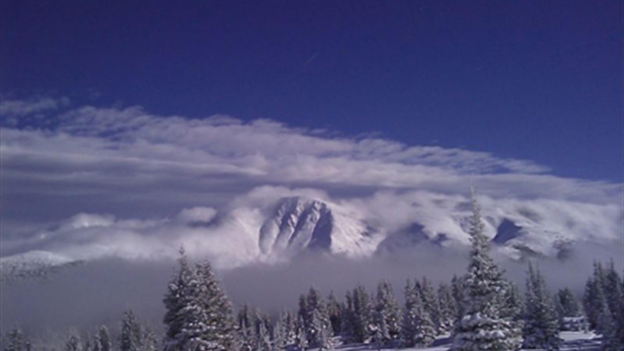 Photo of Others in Winter Park