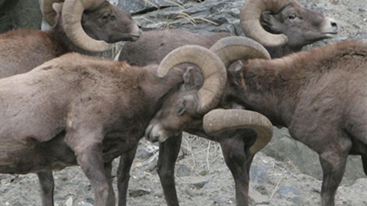 Photo of Others in Winter Park