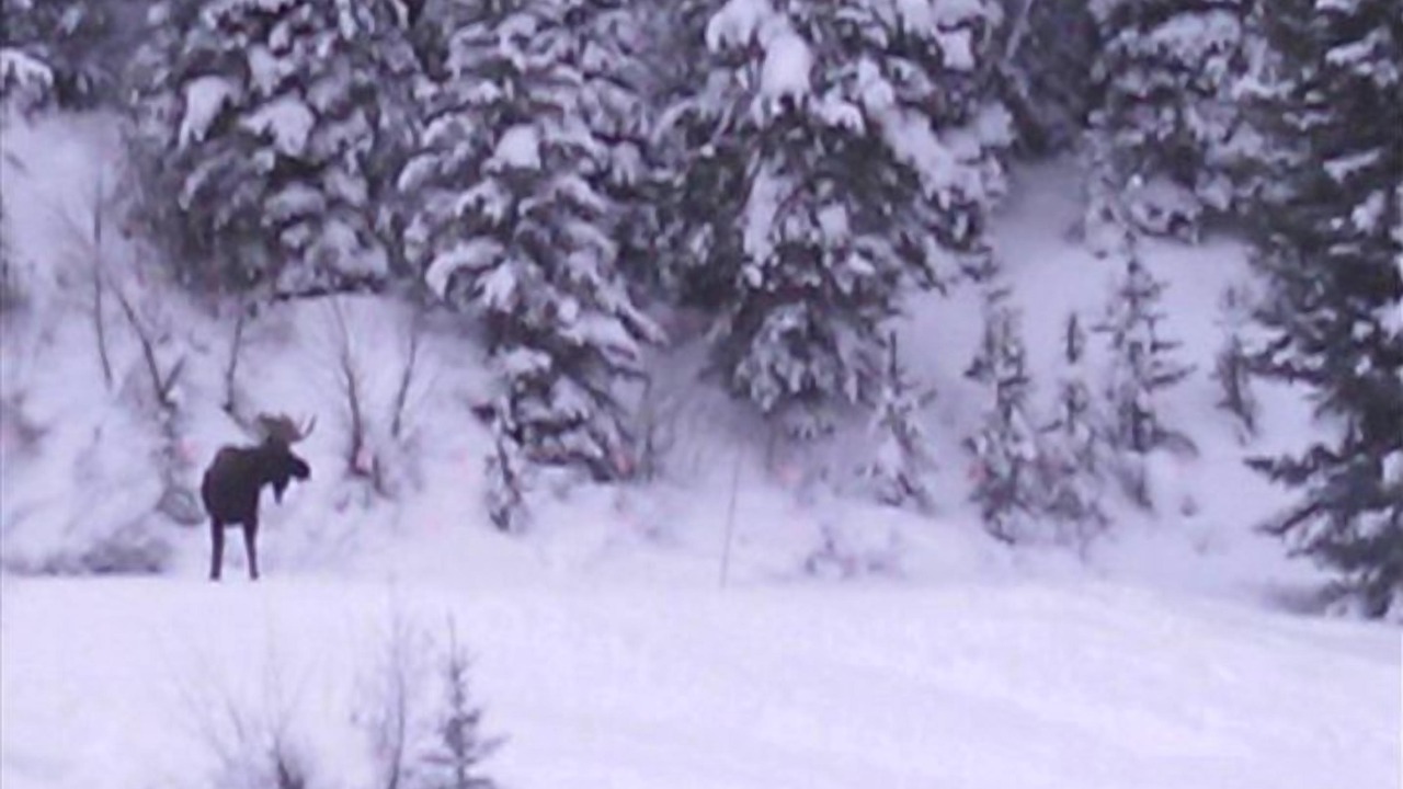 Photo of Bedroom in Winter Park