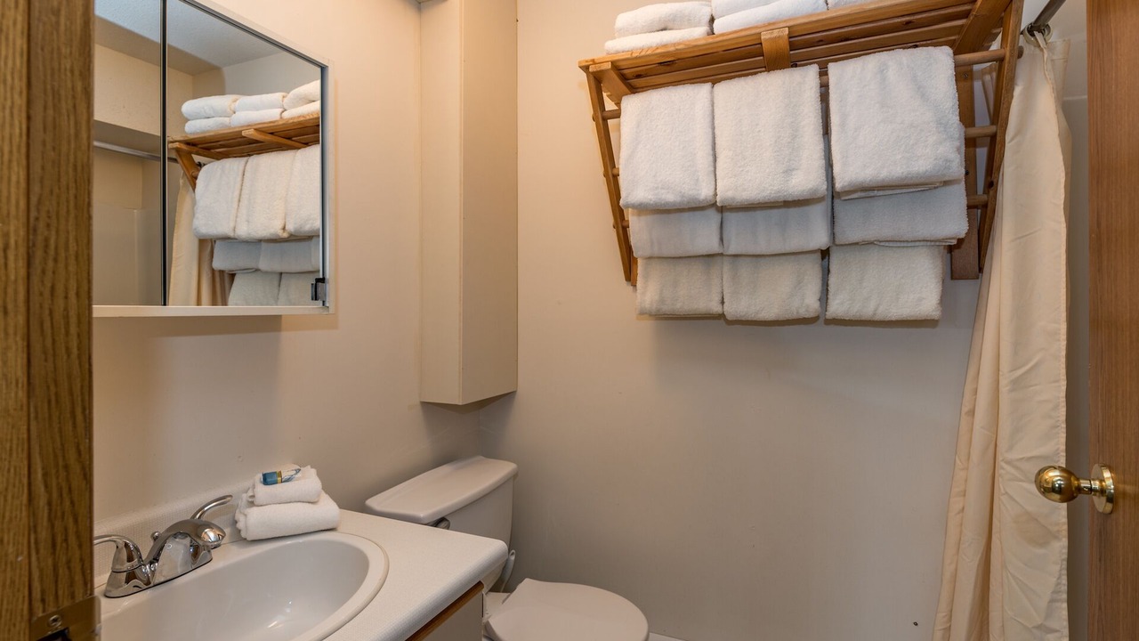 Photo of Bathroom in Silver Star Mountain