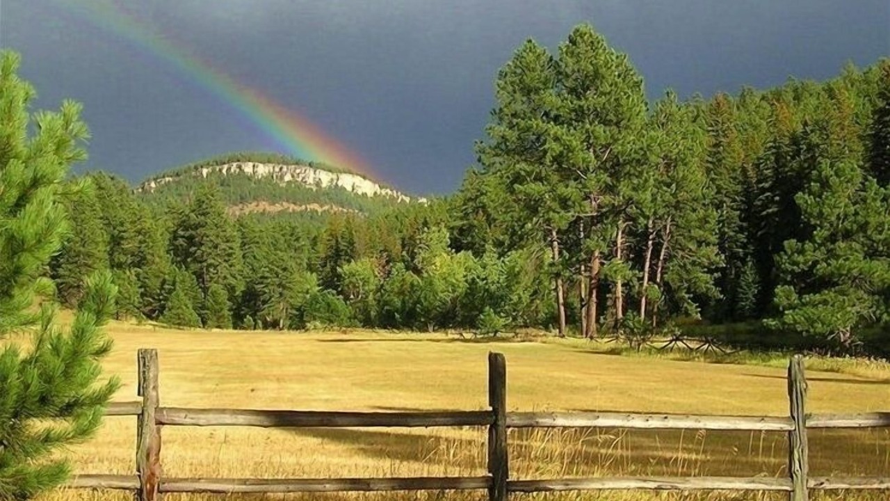 Photo of Others in Deadwood