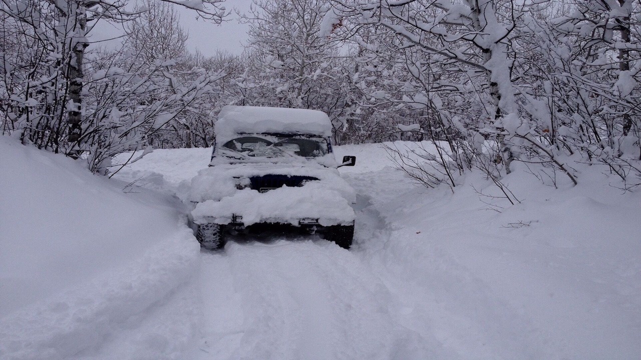 Photo of Others in Knollwood