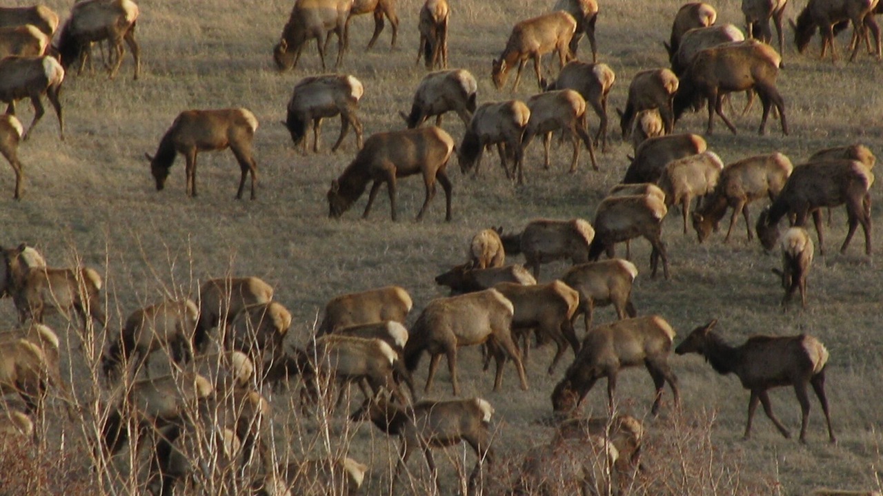 Photo of Outdoor in Red River