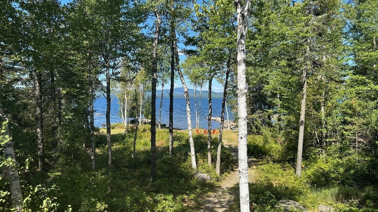 Photo of Others in Rangeley Plantation