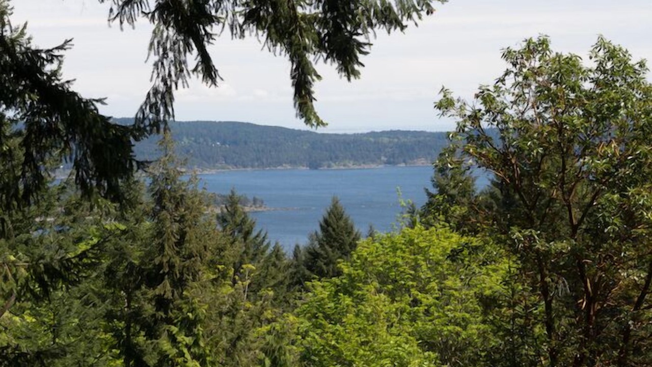 Photo of Others in Salt Spring Island