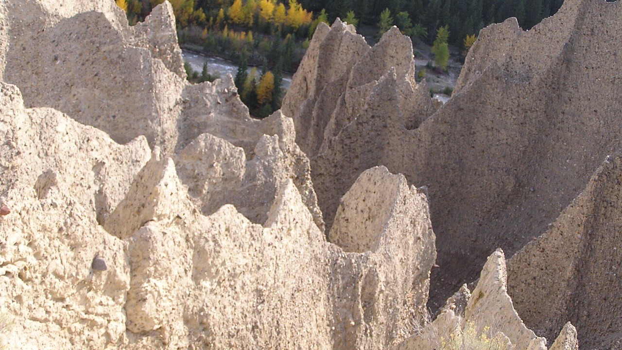 Photo of Others in East Kootenay