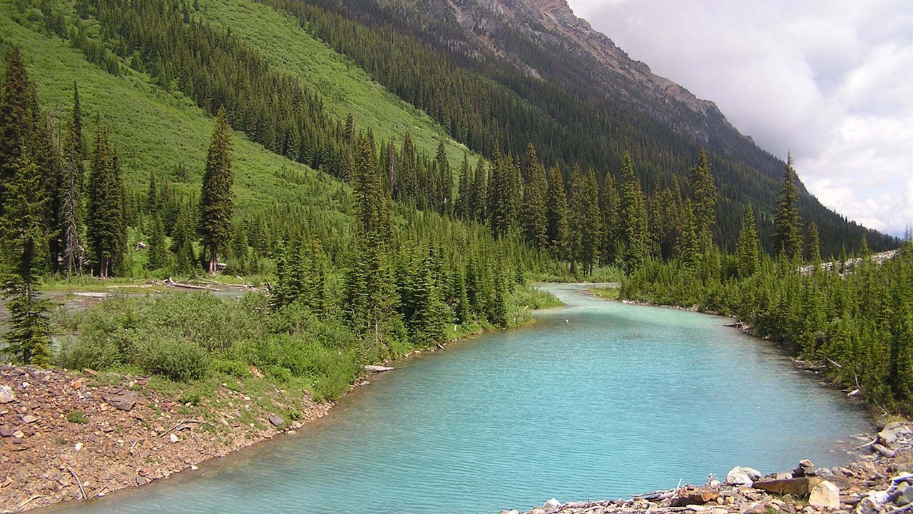 Photo of Others in East Kootenay