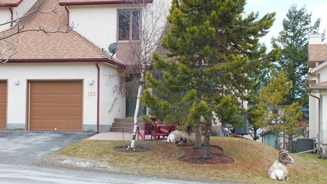 Photo of Outdoor in East Kootenay
