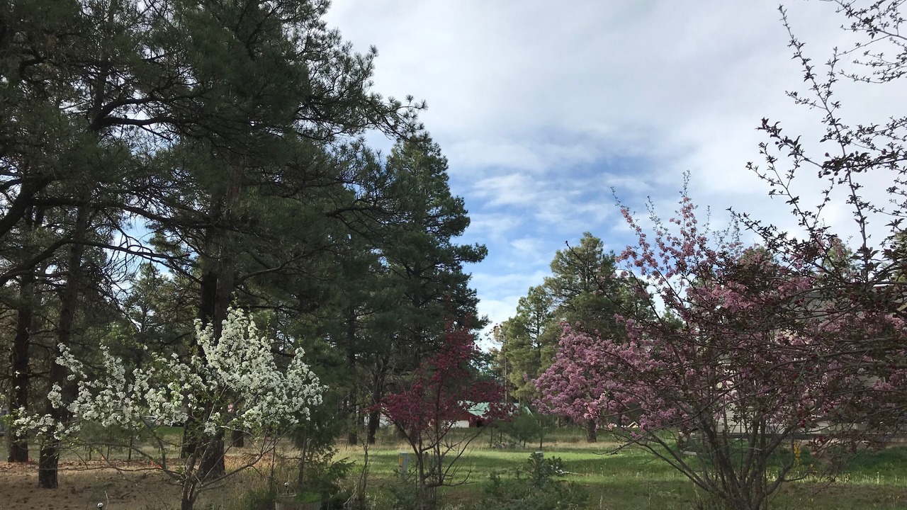 Photo of Outdoor in Pagosa Springs
