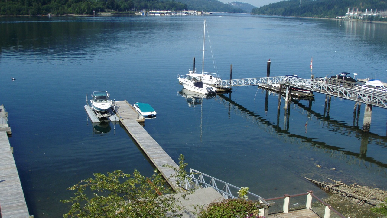 Photo of Others in Port Moody