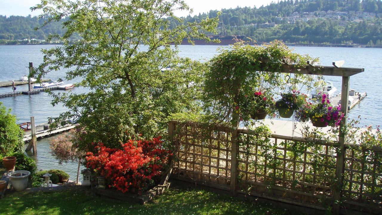 Photo of Outdoor in Port Moody