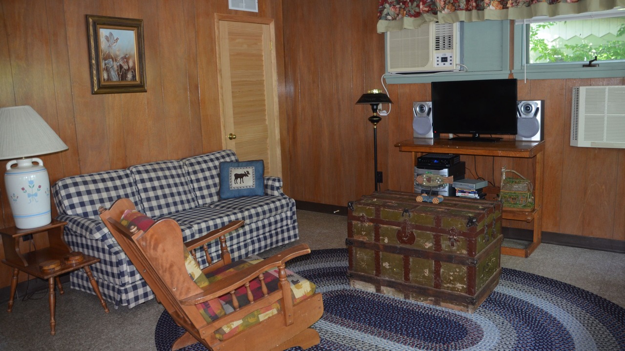 Photo of Livingroom in North Lake George
