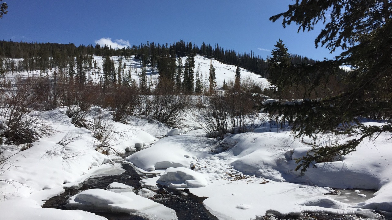 Photo of Others in Winter Park