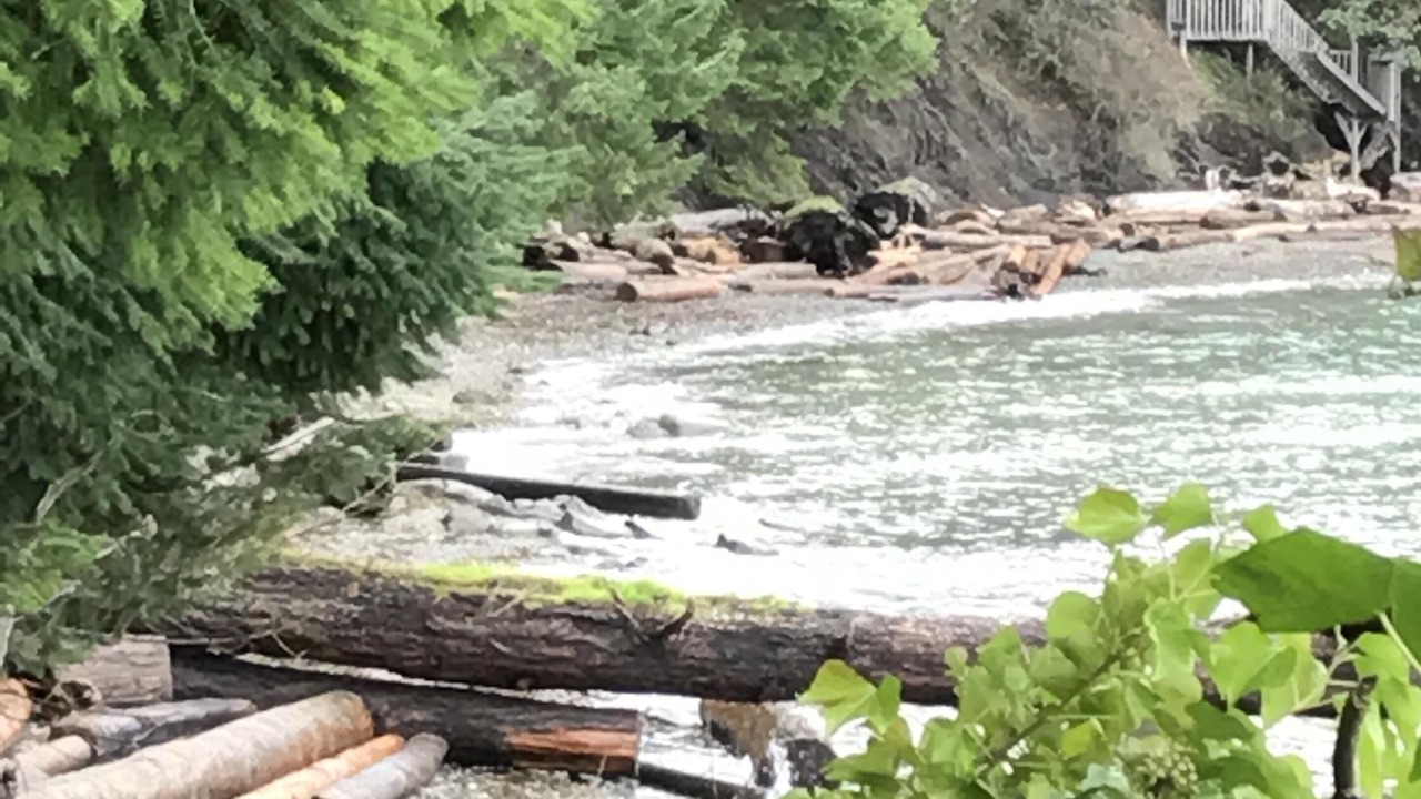 Photo of Outdoor in Regional District of Nanaimo