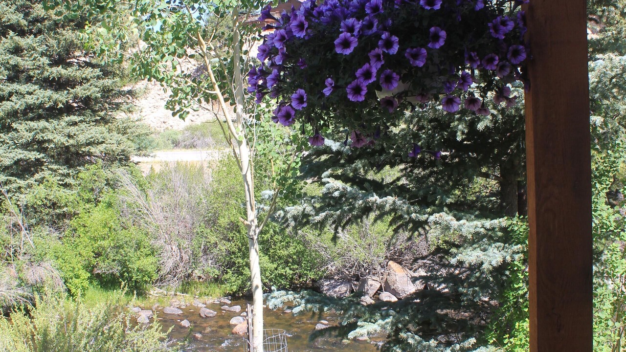 Photo of Others in Beaver Mountain