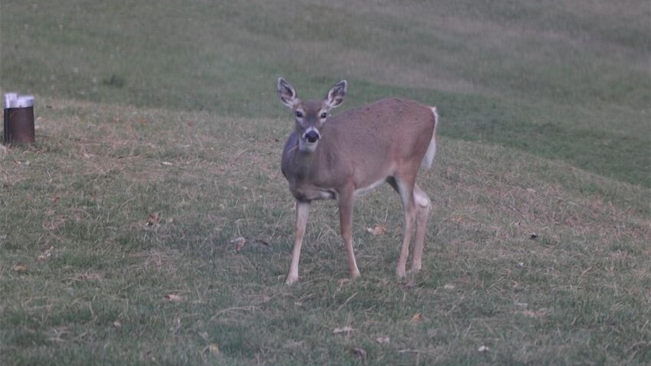 Photo of Others in Hill City