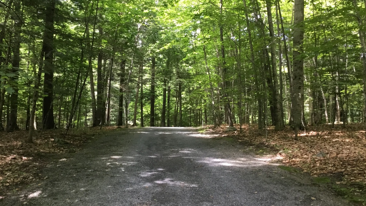 Photo of Outdoor in Diamond Point