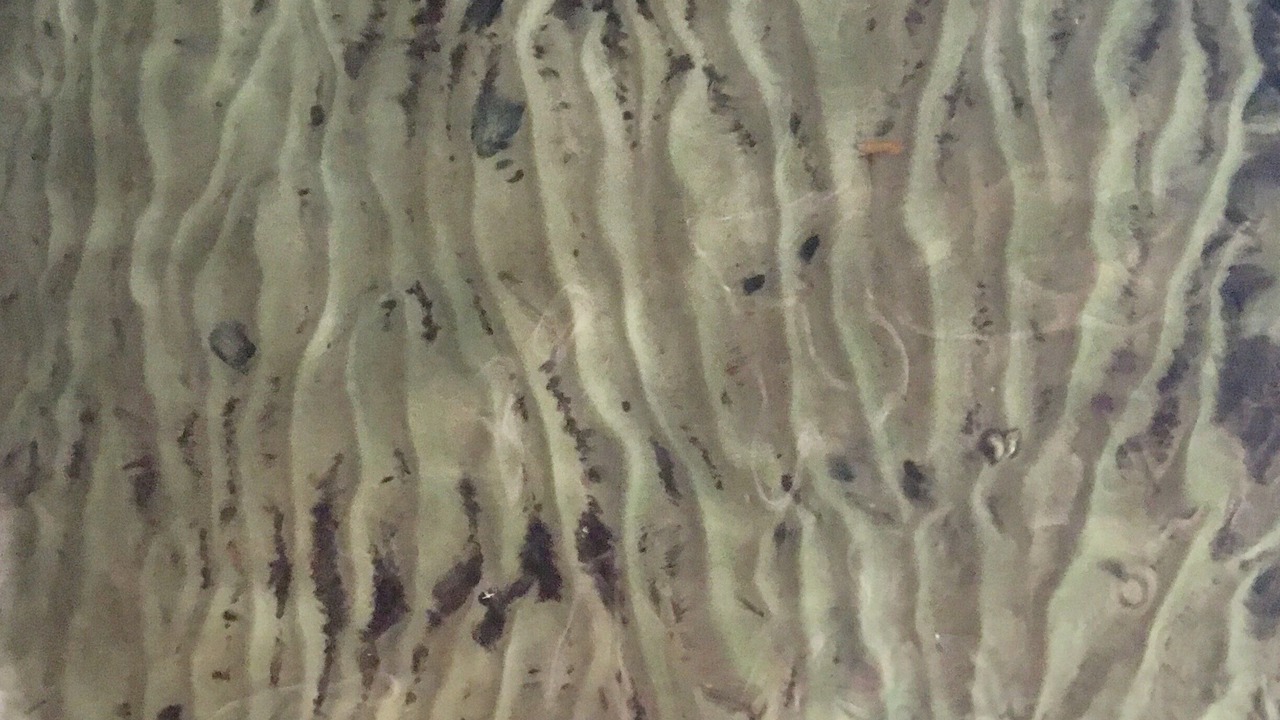 Photo of Others in Diamond Point