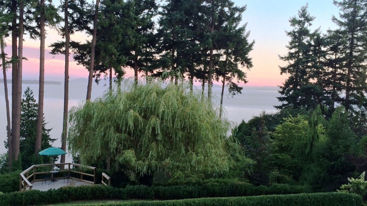 Photo of Outdoor in White Rock