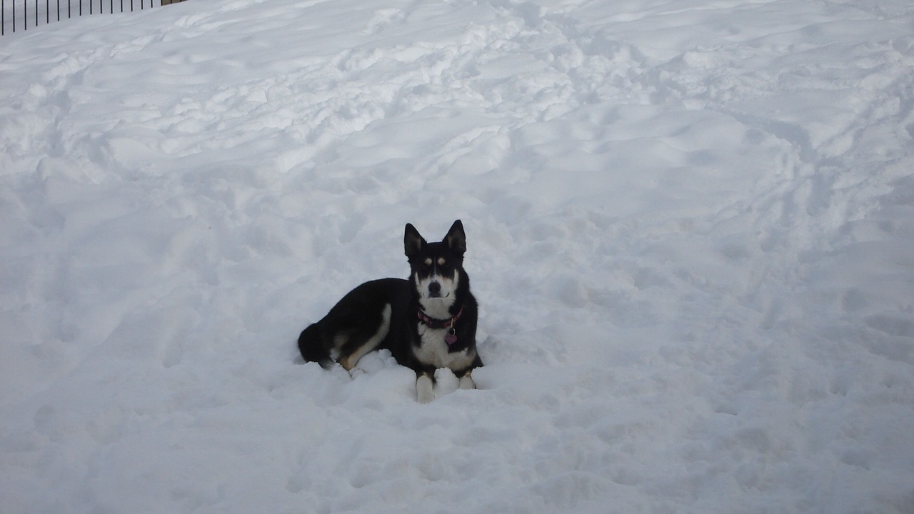 Photo of Others in Steamboat Springs