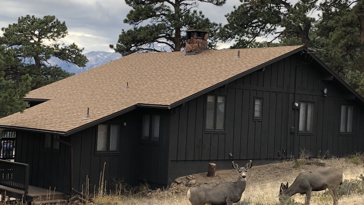 Photo of Others in Estes Park
