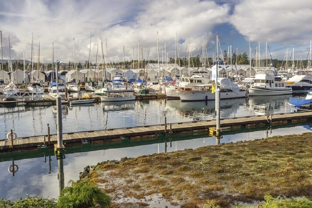 Photo of Others in Sidney