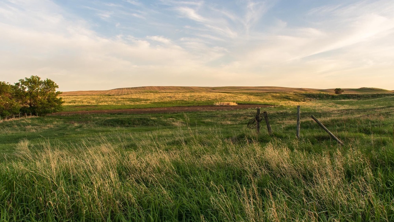 Photo of Outdoor in Morse