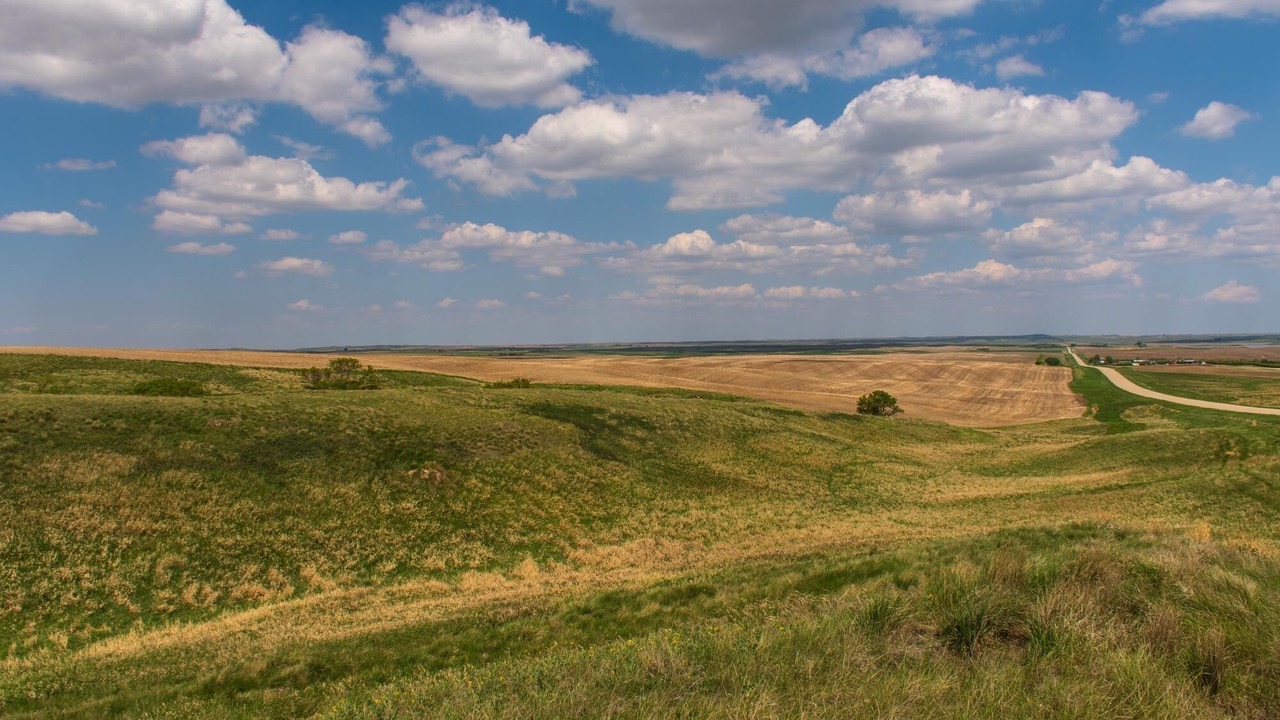 Photo of Outdoor in Morse