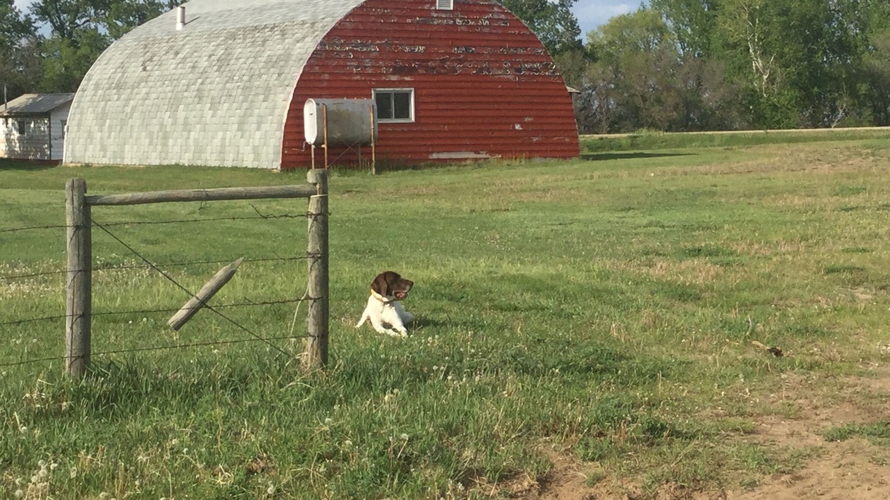 Photo of Outdoor in Morse