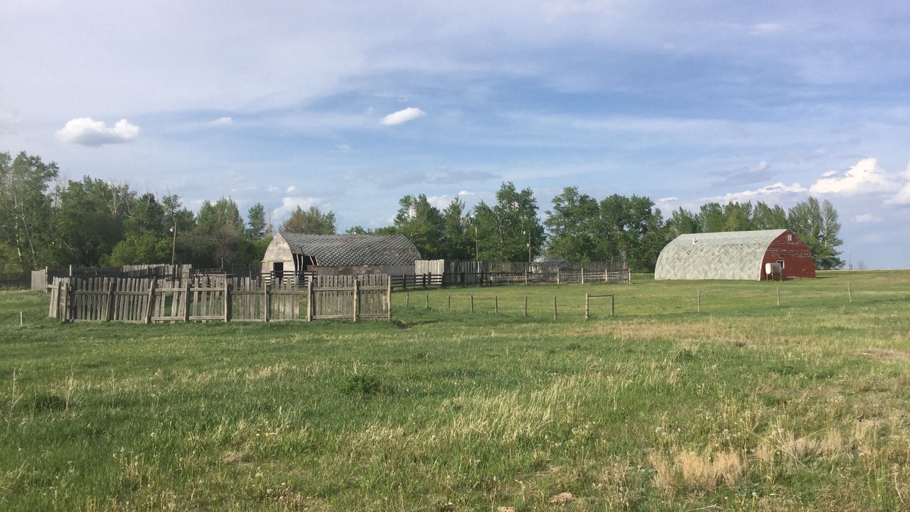 Photo of Outdoor in Morse