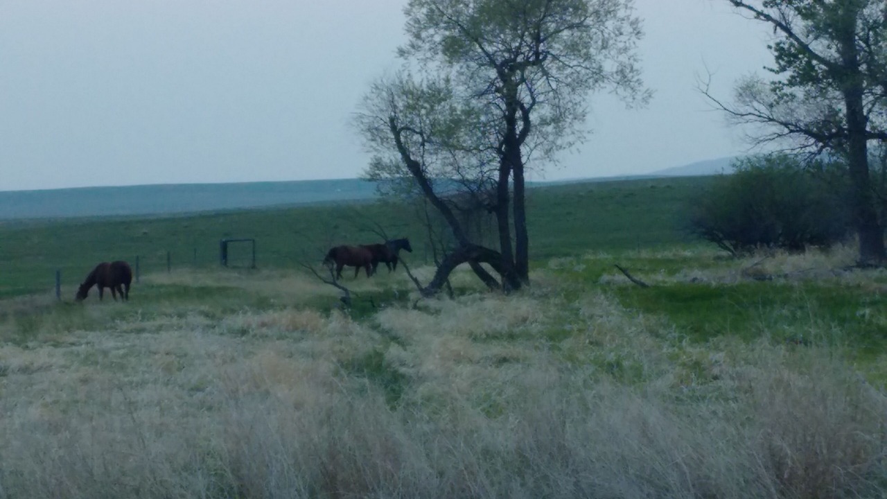 Photo of Outdoor in Morse