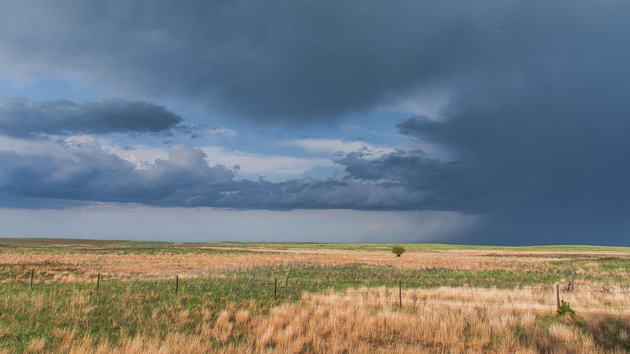Photo of Outdoor in Morse