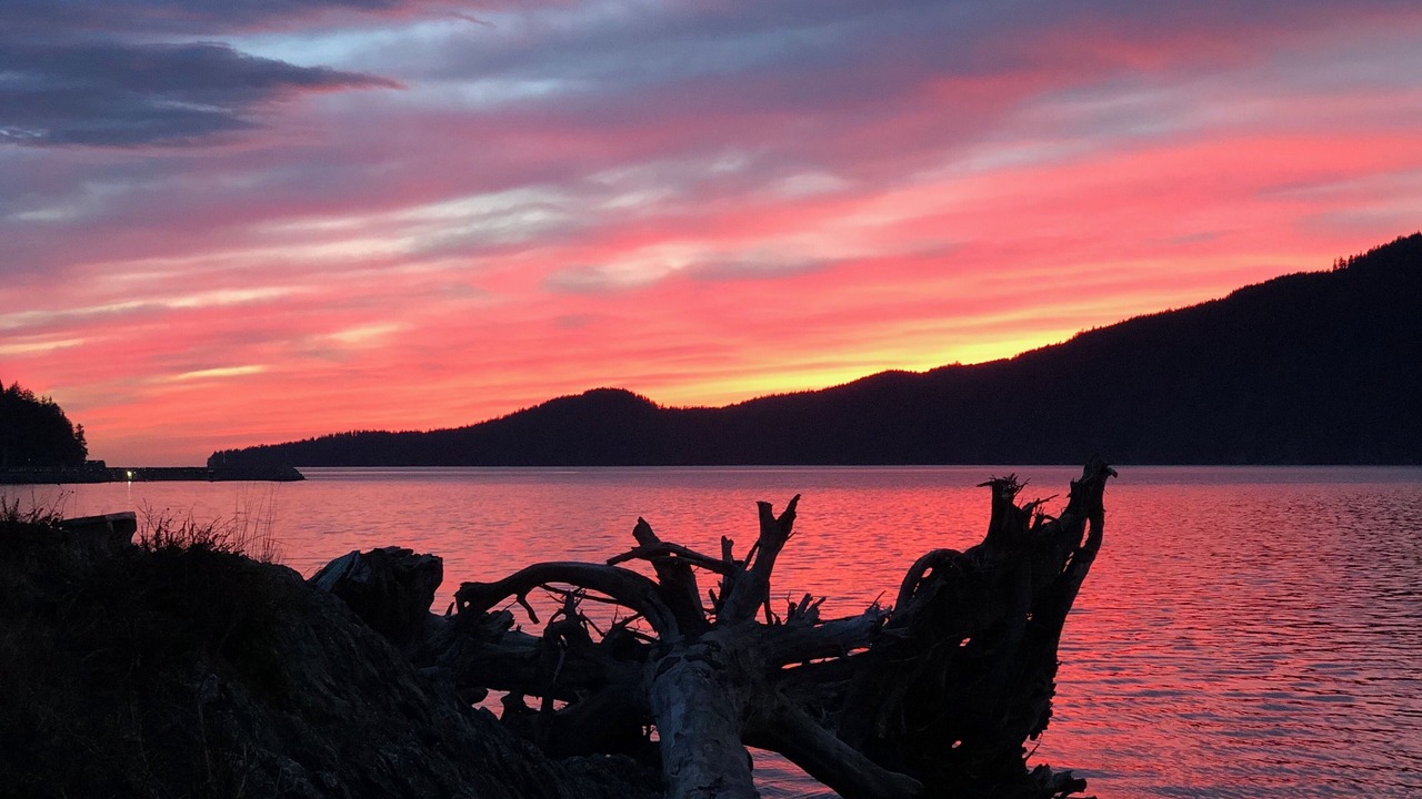 Photo of Others in Port Renfrew