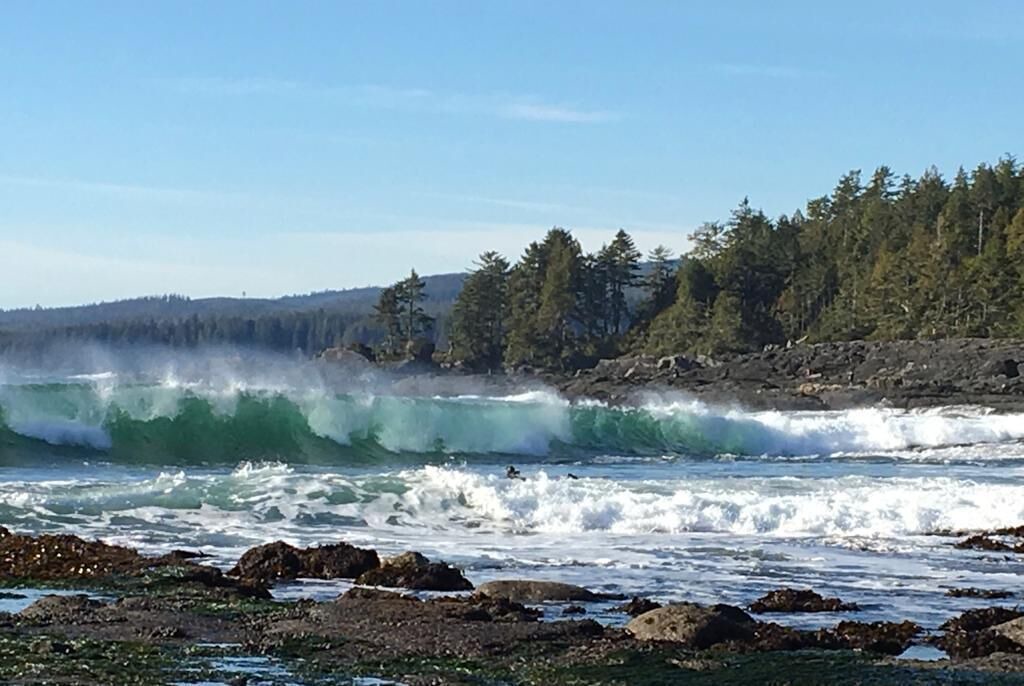 Photo of Others in Port Renfrew